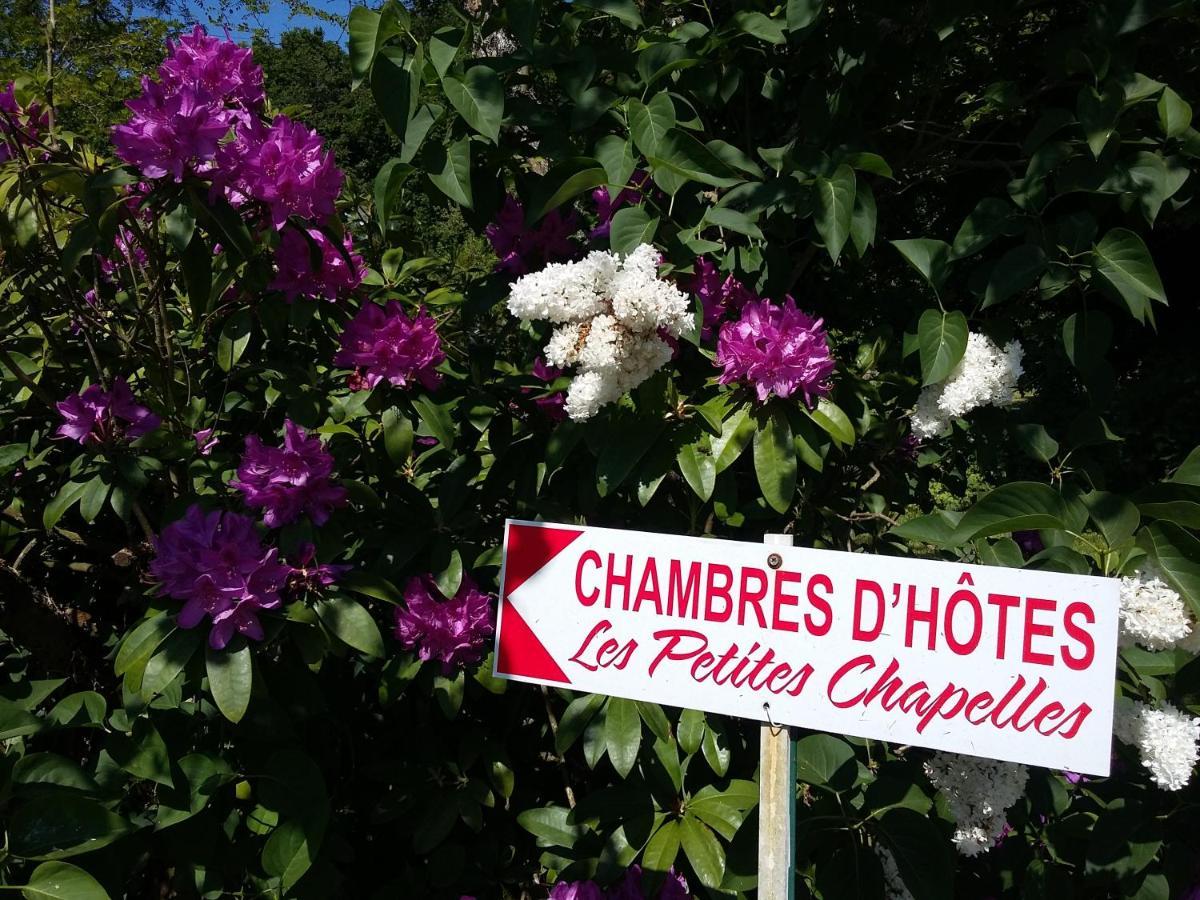 Les Petites Chapelles Bed & Breakfast Saint-Pierre-de-Plesguen Bagian luar foto