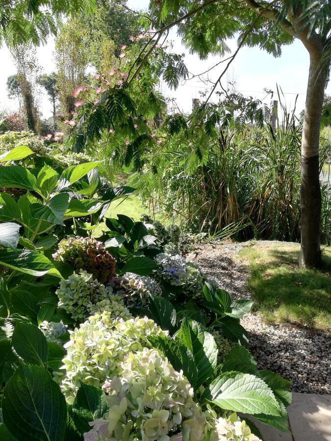 Les Petites Chapelles Bed & Breakfast Saint-Pierre-de-Plesguen Bagian luar foto