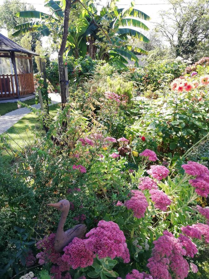 Les Petites Chapelles Bed & Breakfast Saint-Pierre-de-Plesguen Bagian luar foto
